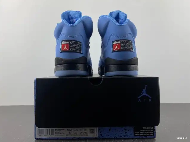 Reps TB 5 DV1310-401 UNC Air Jordan 0604
